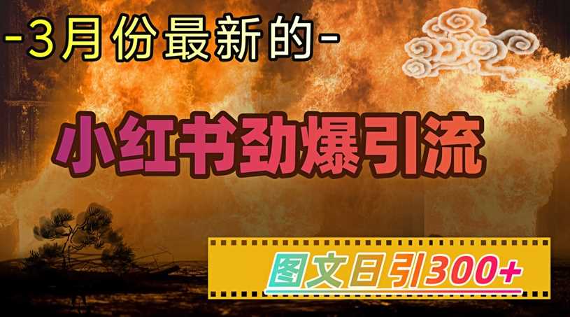 小红书超劲爆引流手段，图文日引300+轻松变现1W-钞能力网全创