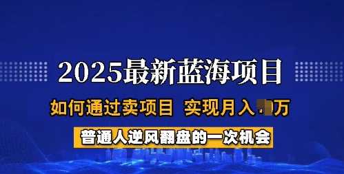 2025蓝海项目，普通人如何通过卖项目，实现月入过W，全过程【揭秘】-钞能力网全创