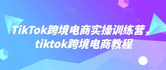 TikTok跨境电商实操训练营，tiktok跨境电商教程-钞能力网全创