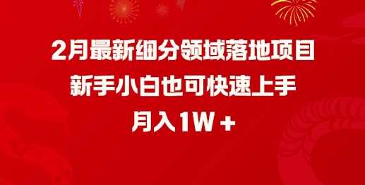 最新细分领域落地项目，新手小白也可快速上手，月入1W-钞能力网全创