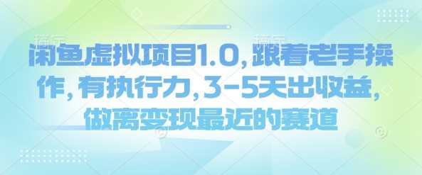 闲鱼虚拟项目1.0，跟着老手操作，有执行力，3-5天出收益，做离变现最近的赛道-钞能力网全创