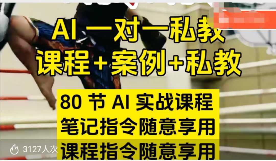 AI指令实战课，课程+案例，80节AI实战课程，笔记指令随意享用，课程指令随意享用-钞能力网全创