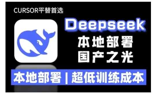 2025年deepseek R1 大型模型本地安装部署(文件+教程)本地部署，超低训练成本-钞能力网全创