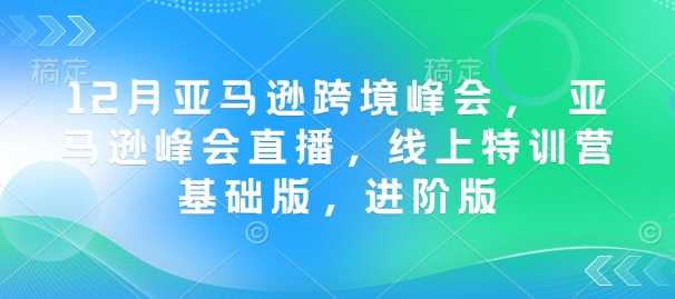 亚马逊跨境峰会， 亚马逊峰会直播，线上特训营基础版，进阶版-钞能力网全创