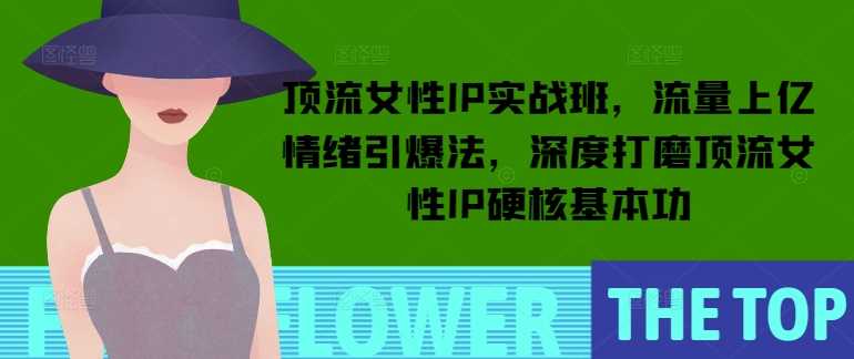 顶流女性IP实战班，流量上亿情绪引爆法，深度打磨顶流女性IP硬核基本功-钞能力网全创