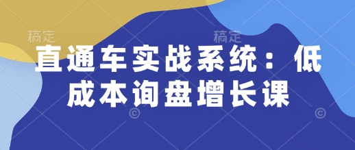 直通车实战系统：低成本询盘增长课，让个人通过技能实现升职加薪，让企业低成本获客，订单源源不断-钞能力网全创