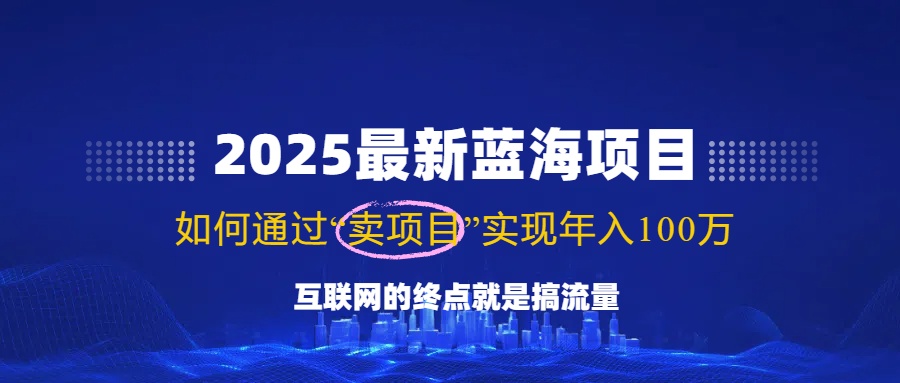 2025最新蓝海项目，零门槛轻松复制，月入10万+，新手也能操作！-钞能力网全创