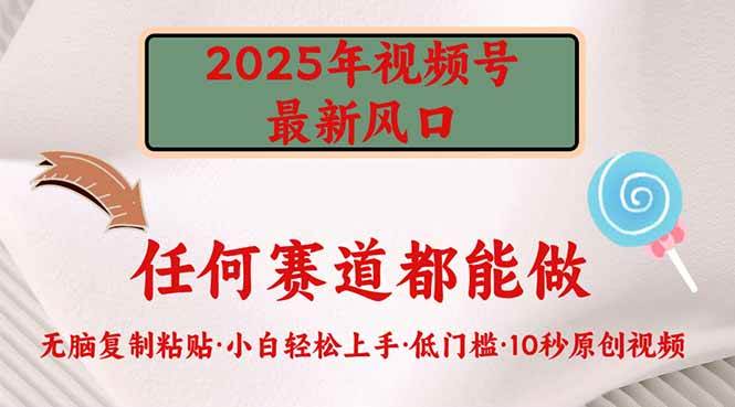 2025年视频号新风口，低门槛只需要无脑执行-钞能力网全创