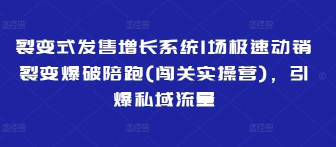 裂变式发售增长系统1场极速动销裂变爆破陪跑(闯关实操营)，引爆私域流量-钞能力网全创