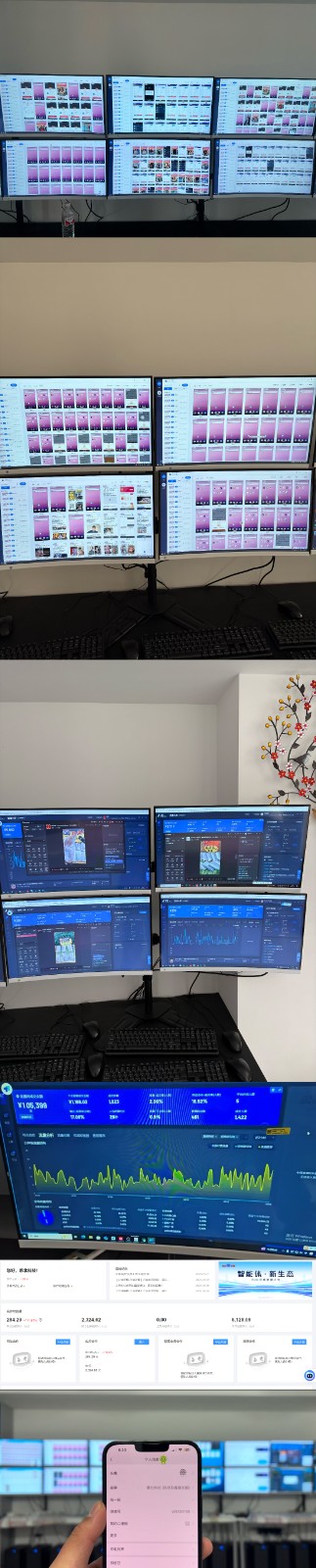 图片[2]-实操项目合集 挂机类型 直播类型 轻资产创业类型 课程分享各项目介绍和原理-钞能力网全创