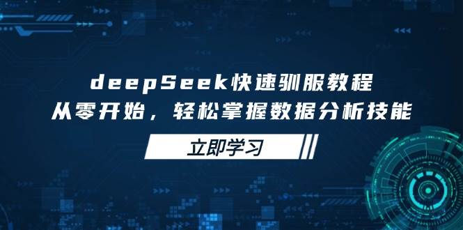 deepSeek快速驯服教程，从零开始，轻松掌握数据分析技能-钞能力网全创
