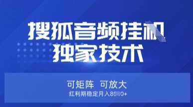 【搜狐音频挂G】独家技术，可矩阵可放大，红利期稳定月入8k【揭秘】-钞能力网全创