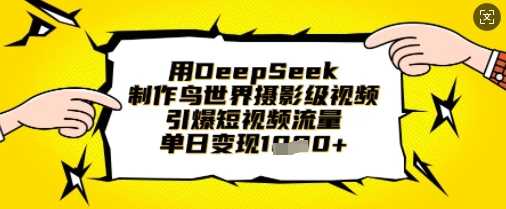 用DeepSeek制作鸟世界摄影级视频，引爆短视频流量，单日变现1k-钞能力网全创