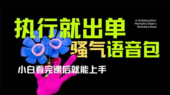 爆火全网的开车导航骚气语音包,只要执行就出单，小白看完课程就能实操…-钞能力网全创