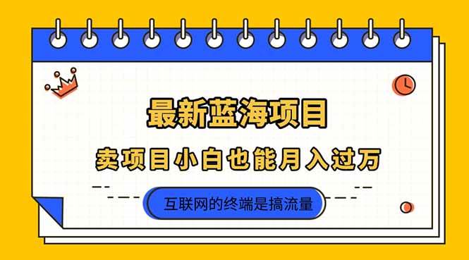 （14289期）2025年最新蓝海项目，卖项目小白也能月入过万-钞能力网全创