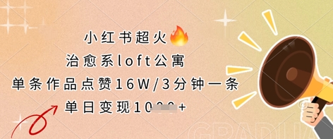 小红书超火的治愈系loft公寓，单条作品点赞16W，3分钟一条，单日变现数张-钞能力网全创