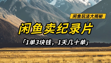 闲鱼卖纪录片1单3块钱，1天几十单，项目稳定有潜力-钞能力网全创