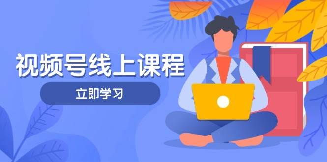 视频号实战课程，轻IP打造与运营技巧，掌握核心方法与策略-钞能力网全创