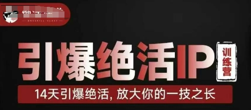 引爆绝活IP训练营，14天引爆绝活，放大你的一技之长-钞能力网全创