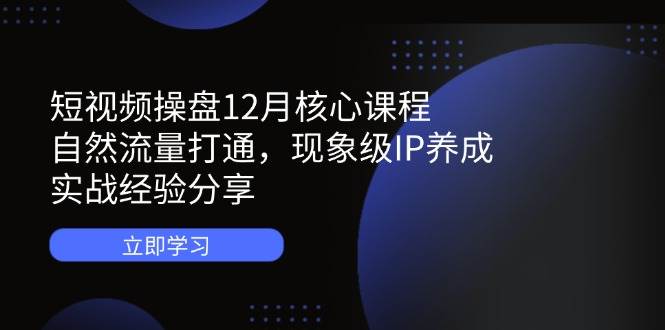 短视频操盘核心课程：自然流量打通，现象级IP养成，实战经验分享-钞能力网全创