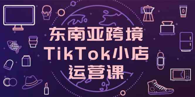 东南亚跨境TikTok小店运营课，掌握店铺设置与流量转化核心技巧-钞能力网全创