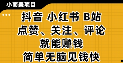 小而美的项目，抖音小红书B站视频点赞、关注、评论就能挣钱，简单无脑立见收益，妥妥的零撸项目【揭秘】-钞能力网全创