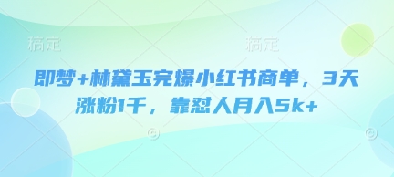 即梦+林黛玉完爆小红书商单，3天涨粉1千，靠怼人月入5k+-钞能力网全创