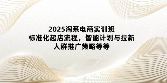 2025淘系电商实训班：标准化起店流程，智能计划与拉新，人群推广策略等等-钞能力网全创