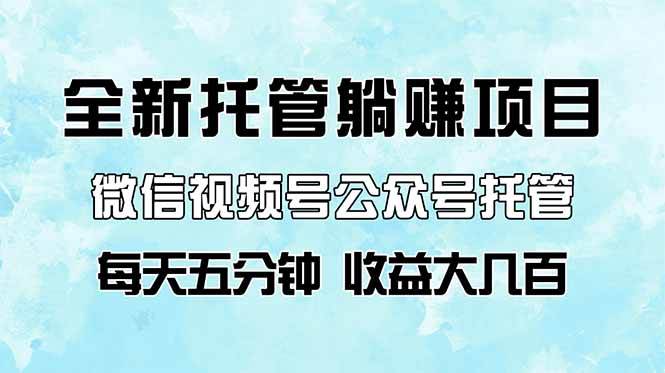 【公众号托管】全新托管躺赚项目，微信视频号公众号托管代运营，每天五分钟，收益大几百-钞能力网全创