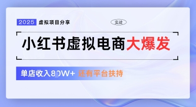 小红书虚拟电商项目，平台大力免费流量扶持，低门槛1拖3玩法-钞能力网全创
