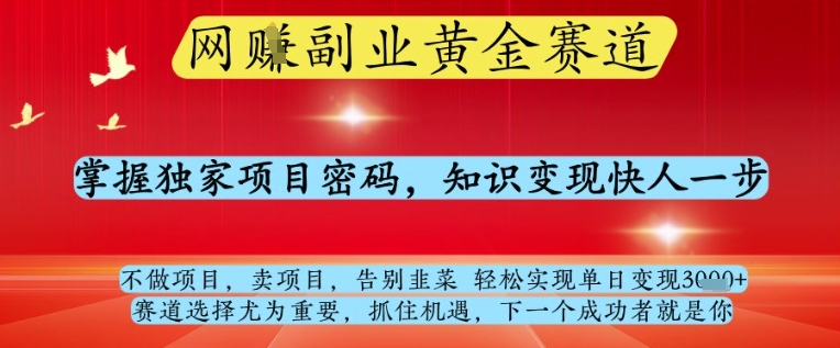 网创副业黄全赛道，掌握独家项目密码，知识变现快人一步，告别韭菜轻松实现单日变现1k+【揭秘】-钞能力网全创