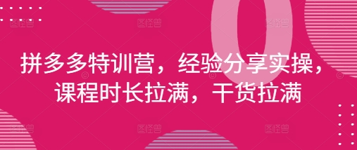 拼多多特训营，经验分享实操，课程时长拉满，干货拉满(更新25年4月)-钞能力网全创
