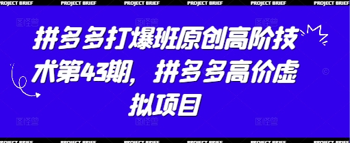 拼多多打爆班原创高阶技术第43期，拼多多高价虚拟项目-钞能力网全创