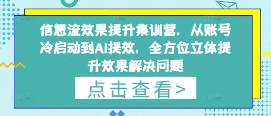 信息流效果提升集训营，从账号冷启动到AI提效，全方位立体提升效果解决问题-钞能力网全创