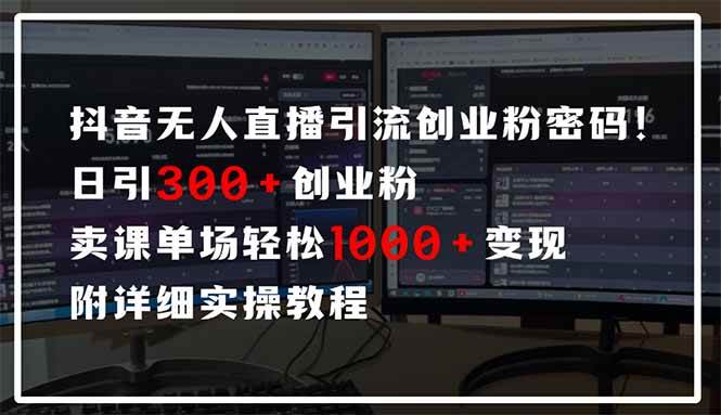（14564期）抖音无人直播引流密码！日引300+创业粉 单场轻松1000+变现 附详细实操教程-钞能力网全创