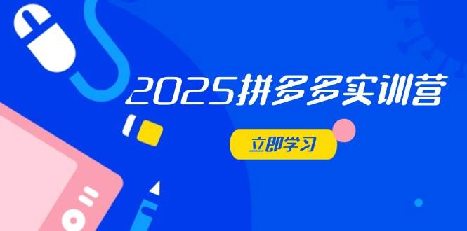 （14531期）2025拼多多实训营：深度剖析运营关键，助力电商人快速提升-钞能力网全创