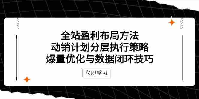 全站盈利布局方法：动销计划分层执行策略，爆量优化与数据闭环技巧-钞能力网全创