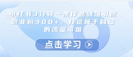 小红书3分钟一条作品精准引流创业粉300+，打造属于自己的流量帝国-钞能力网全创