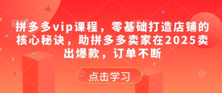 拼多多vip课程，零基础打造店铺的核心秘诀，助拼多多卖家在2025卖出爆款，订单不断-钞能力网全创