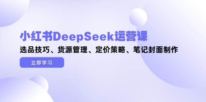 小红书DeepSeek运营课，选品技巧、货源管理、定价策略、笔记封面制作-钞能力网全创