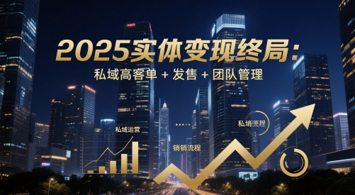2025实体变现终局：私域高客单+发售+团队管理-钞能力网全创