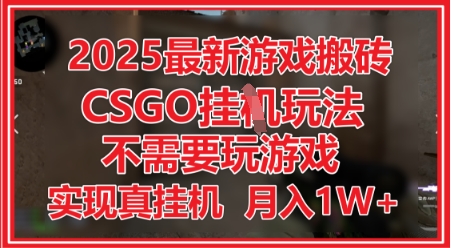 2025最新游戏搬砖，CSGO挂G，不需要玩游戏，实现真挂G，月入1W+【揭秘】-钞能力网全创