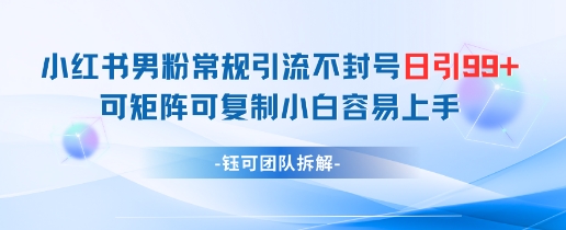 小红书男粉常规引流不封号日引99+变现简单 可矩阵可复制小白容易上手-钞能力网全创