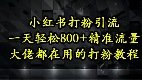 小红书打粉引流，一天轻松500+精准流量，大佬都在用的打粉教程-钞能力网全创
