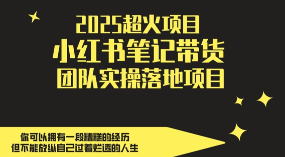 2025超火项目，副业最佳选择，小红书笔记带货团队实操落地项目，，轻松日入5张-钞能力网全创