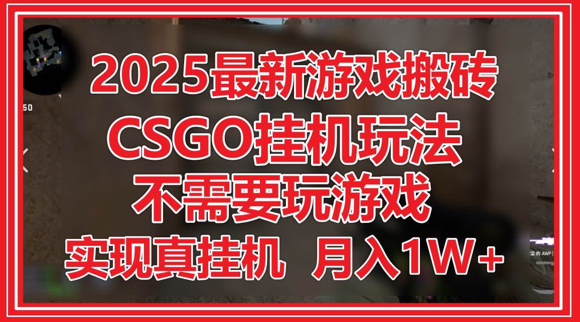 （14743期）2025最新游戏搬砖，CSGO挂机，不需要玩游戏，实现真挂机，月入1W+-钞能力网全创