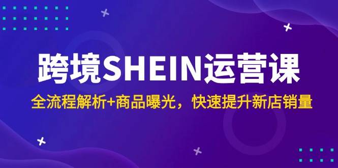 （14832期）跨境SHEIN运营课，全流程解析+商品曝光，快速提升新店销量-钞能力网全创