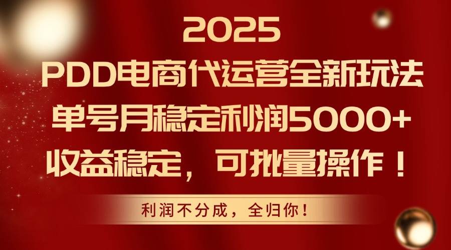 （14839期）2025PDD电商代运营全新玩法，单号月稳定利润5000+，收益稳定，可批量操作-钞能力网全创