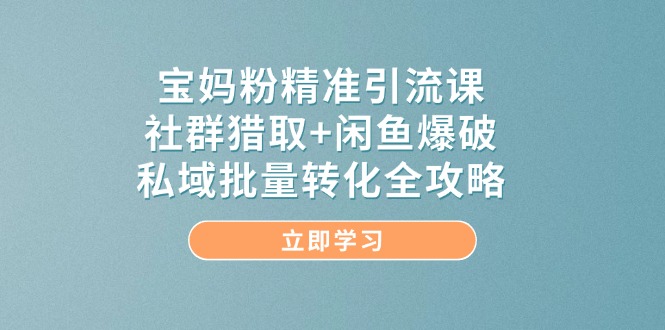 （14820期）宝妈粉精准引流课，社群猎取+闲鱼爆破，私域批量转化全攻略-钞能力网全创