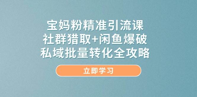 宝妈粉精准引流课，社群猎取+闲鱼爆破，私域批量转化全攻略-钞能力网全创